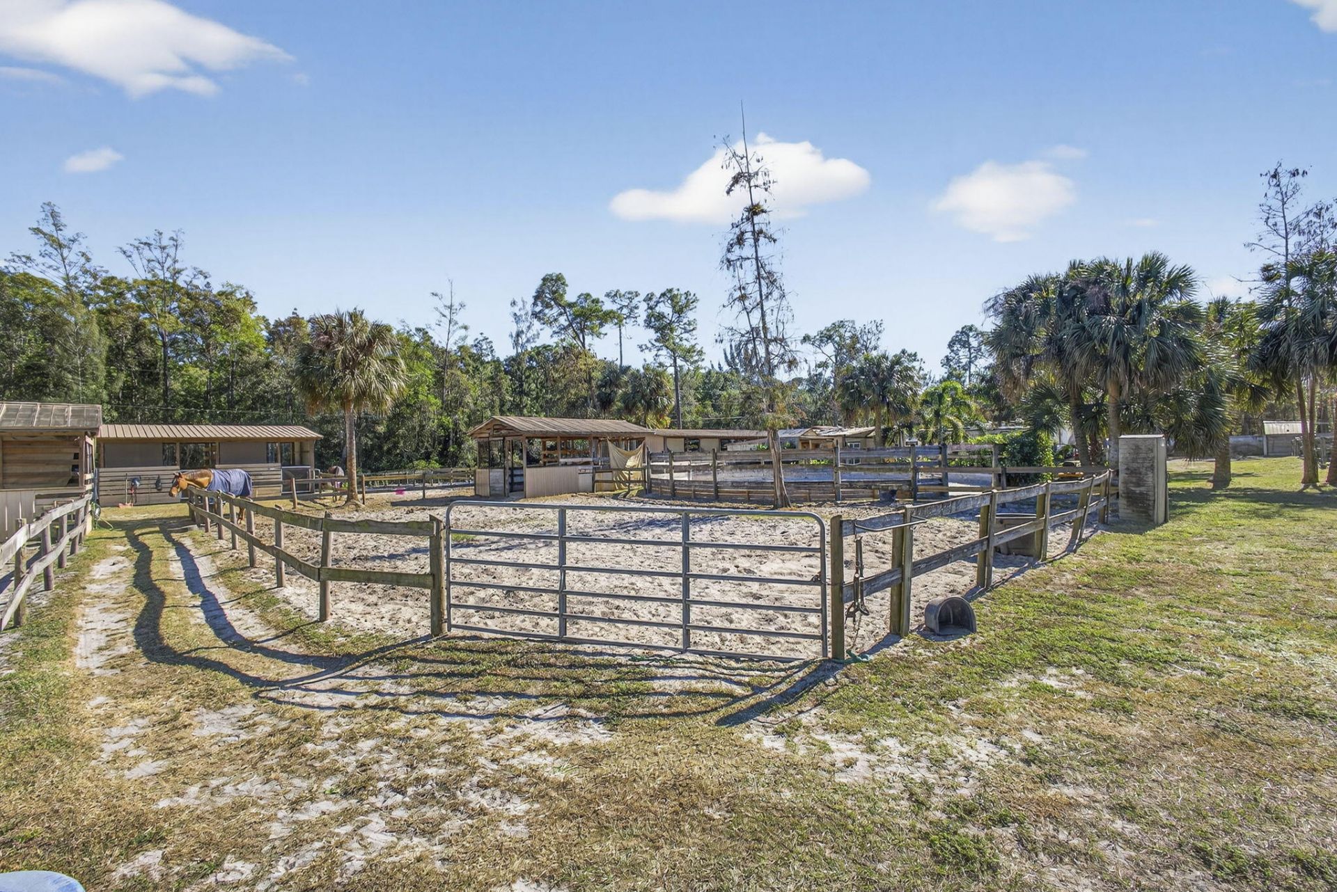 2910 Doe Trail, Loxahatchee, FL 33470 Photo