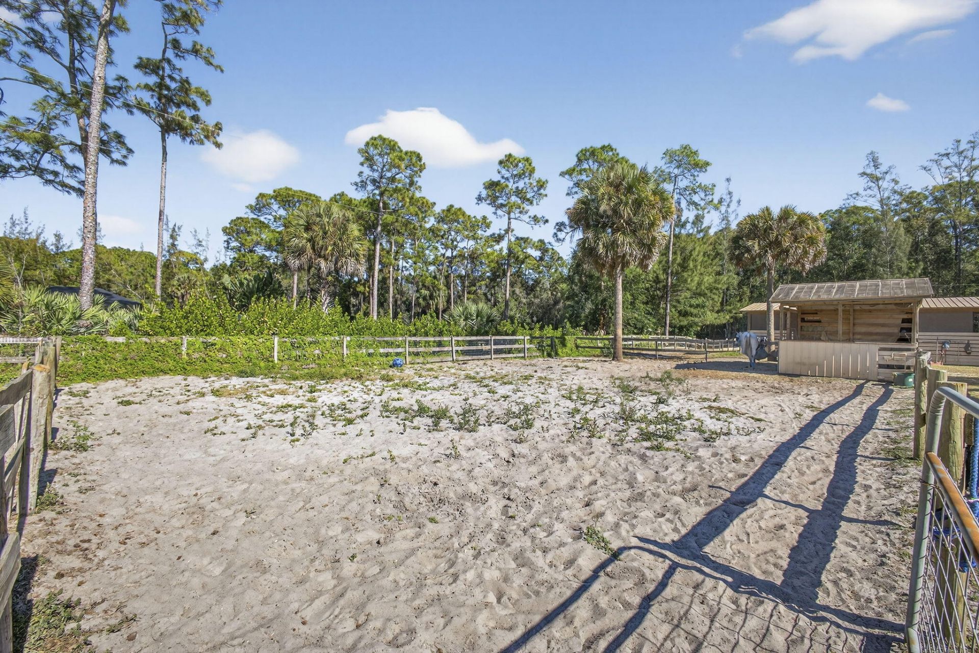 2910 Doe Trail, Loxahatchee, FL 33470 Photo