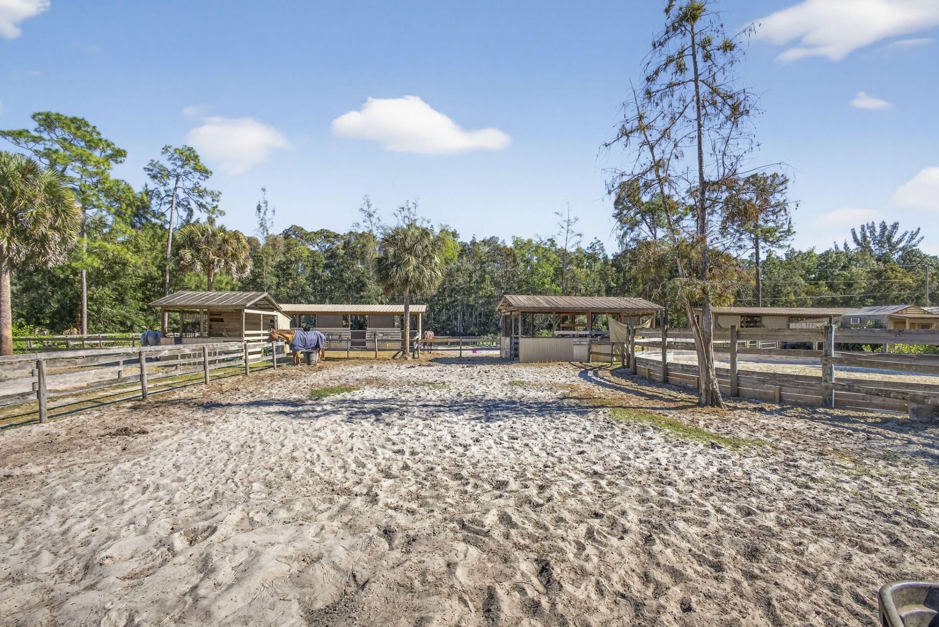 2910 Doe Trail, Loxahatchee, FL 33470 Photo