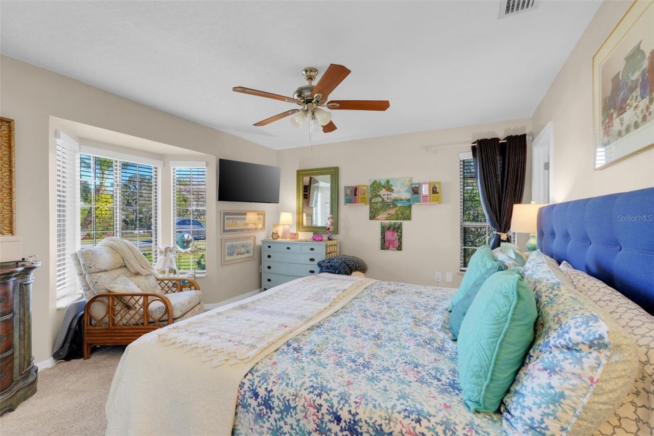 17 E Live Oak Avenue, Yalaha, FL 34797 Photo