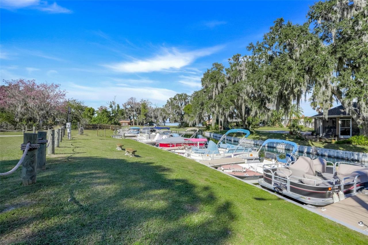 17 E Live Oak Avenue, Yalaha, FL 34797 Photo