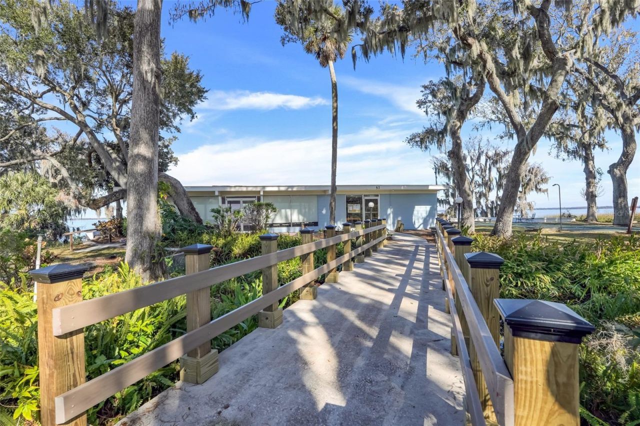 17 E Live Oak Avenue, Yalaha, FL 34797 Photo