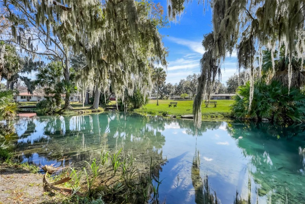 17 E Live Oak Avenue, Yalaha, FL 34797 Photo