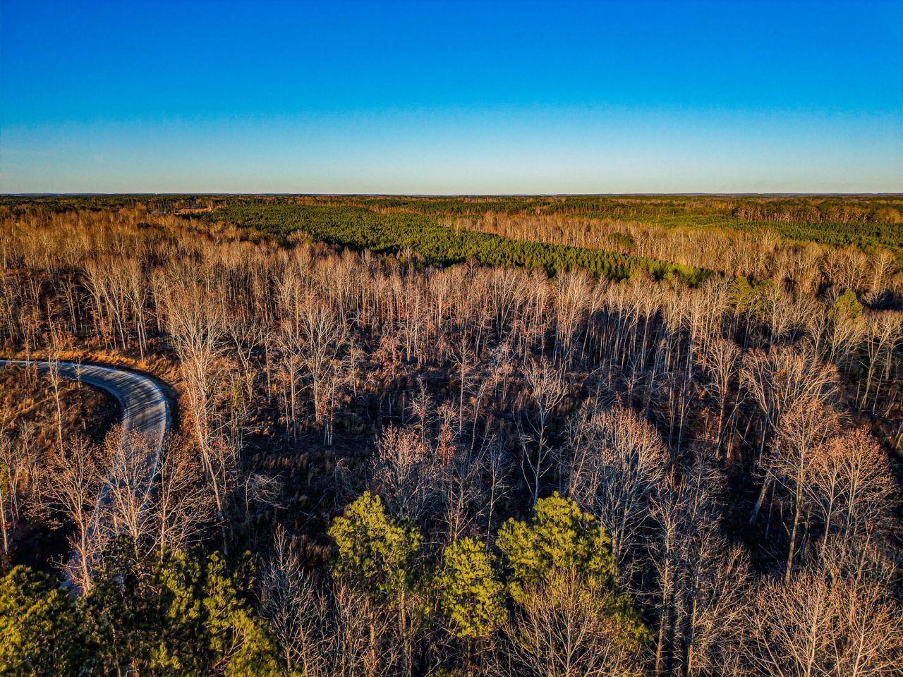 01 Co Rd 3485, New Site, MS 38859 Main Photo