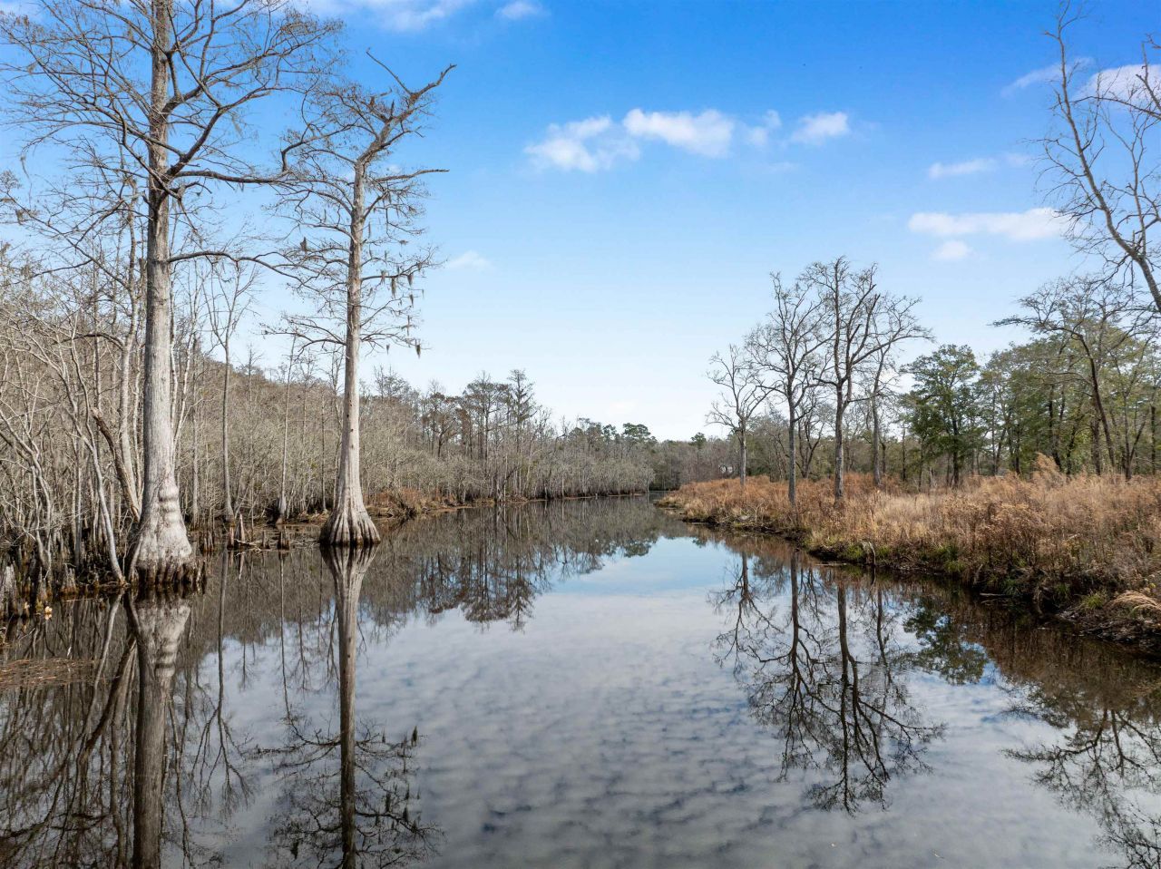 Tbd Reds Landing Rd.  Photo 17