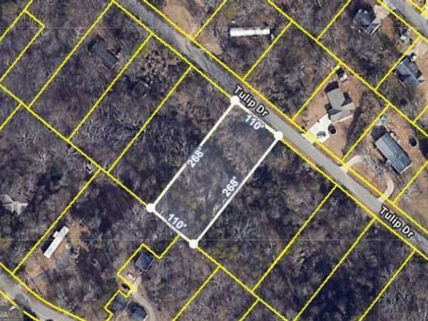 1828 Tulip Drive, Gainesville, GA 30507