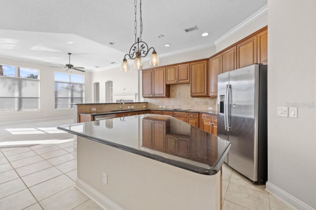 25515 Hawks Run Lane, Sorrento, FL 32776 Photo