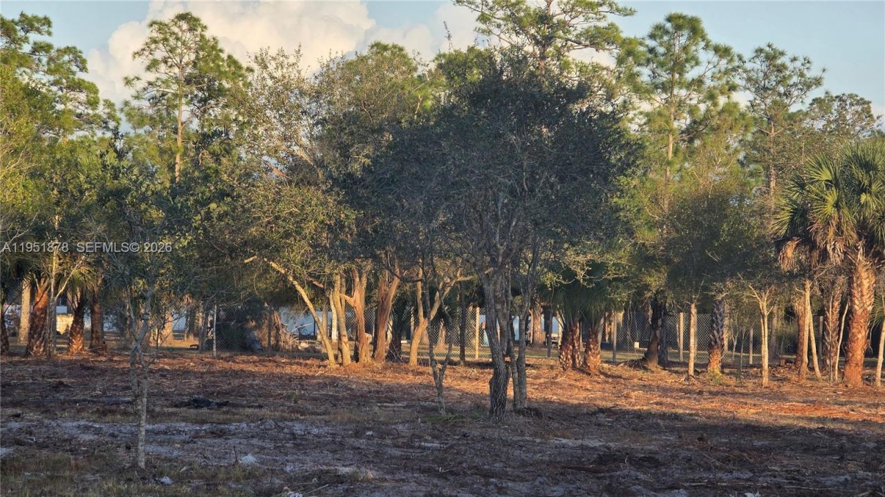 545 S Datil St, Clewiston, FL 33440 Photo