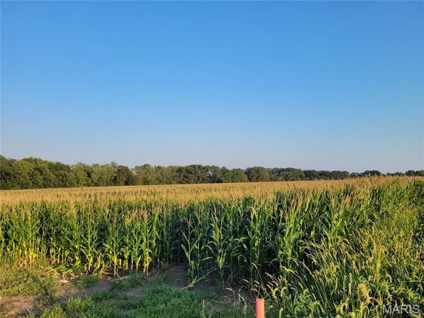 0 Hwy DD (40+/- Ac) Tract G, Bellflower, MO 63333