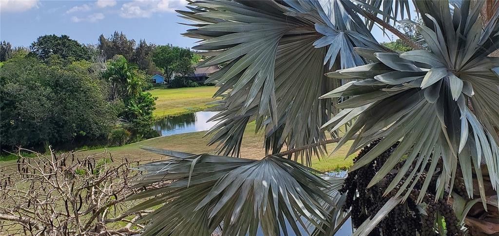 5100 SW 90th Avenue, Unit 406, Cooper City, FL 33328 Photo