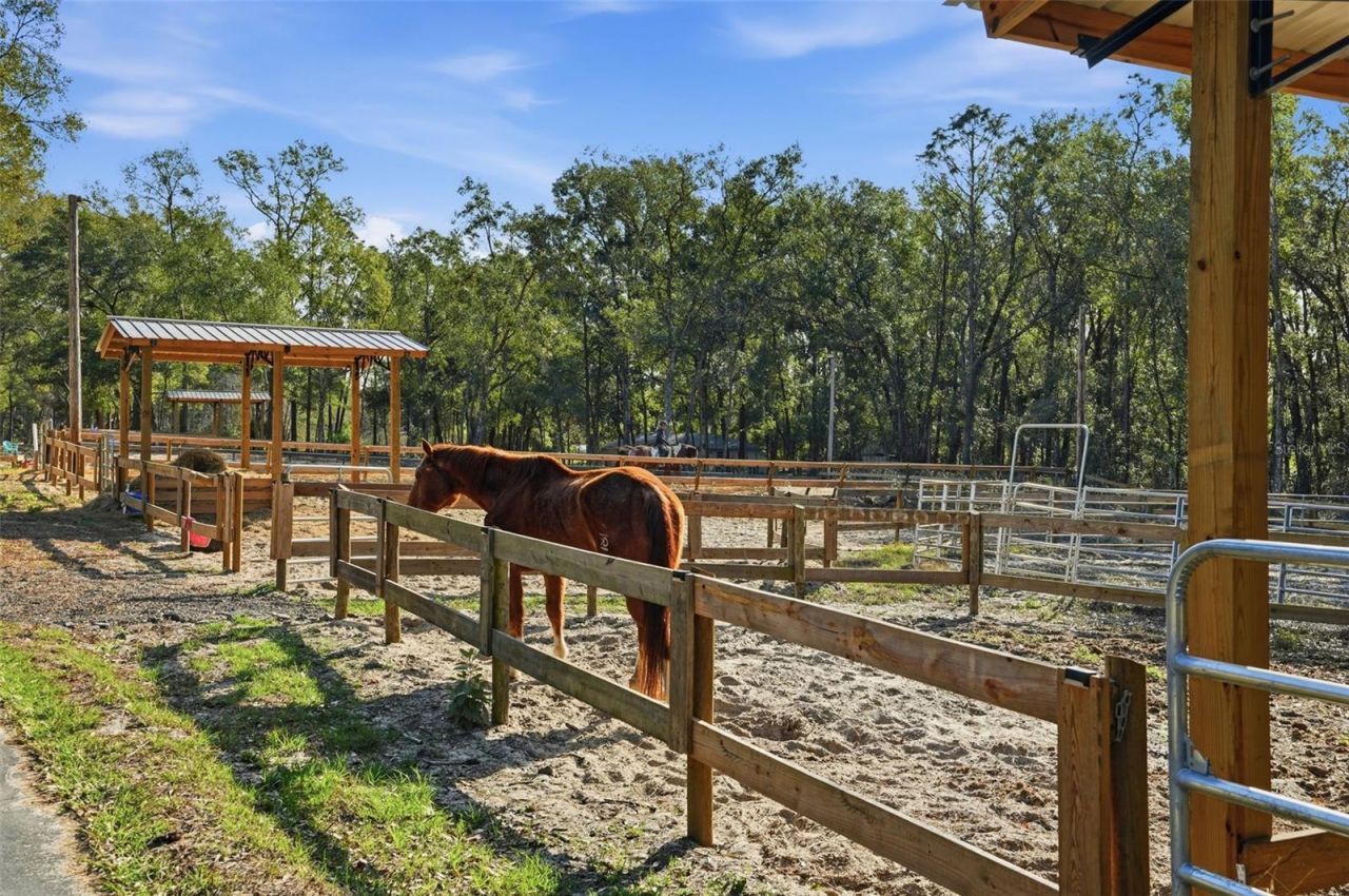 16000 Sam C Road, Brooksville, FL 34613 Photo