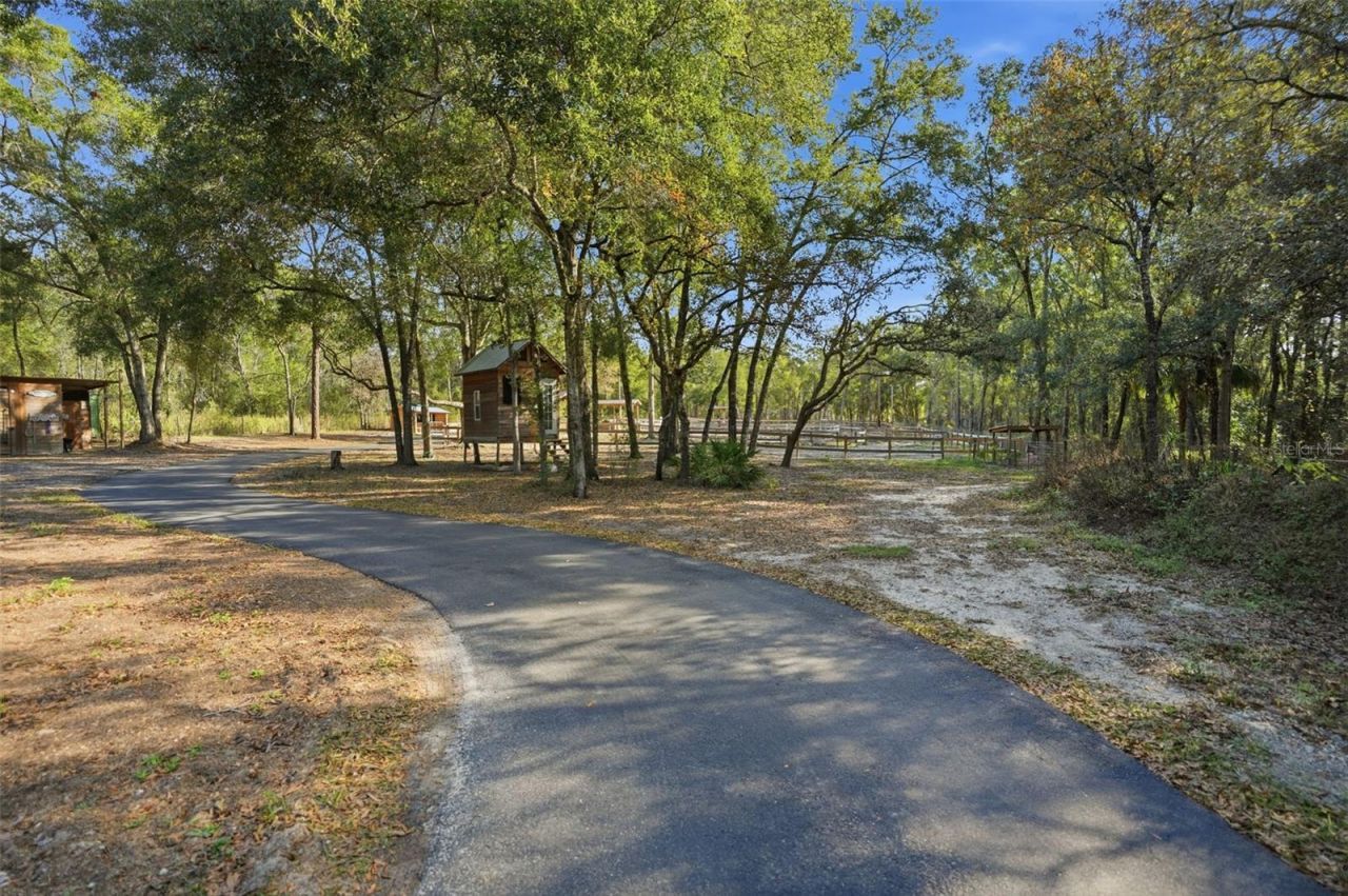 16000 Sam C Road, Brooksville, FL 34613 Photo