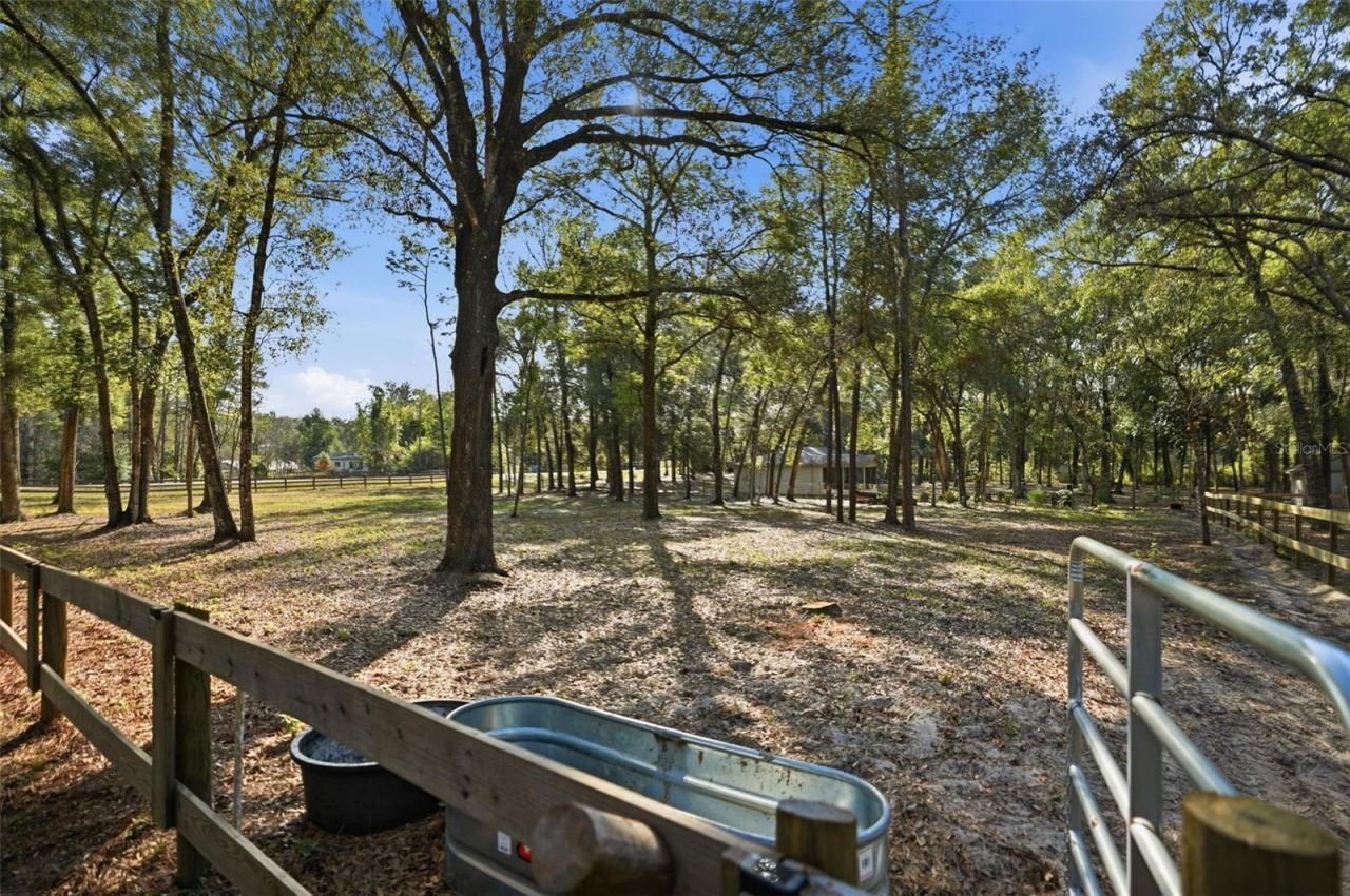 16000 Sam C Road, Brooksville, FL 34613 Photo