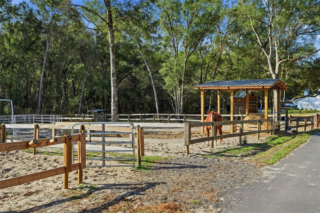 16000 Sam C Road, Brooksville, FL 34613 Photo