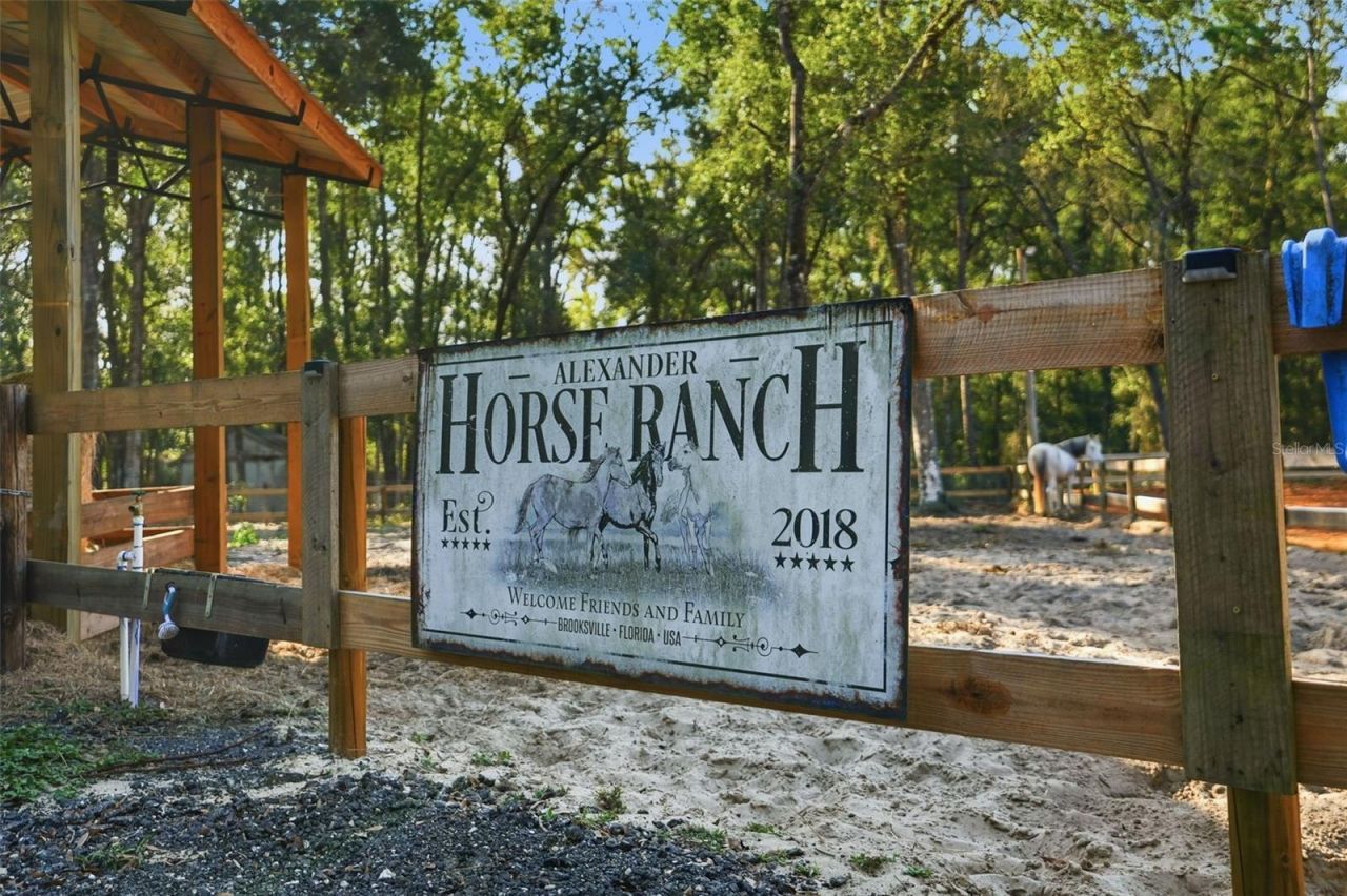 16000 Sam C Road, Brooksville, FL 34613 Photo