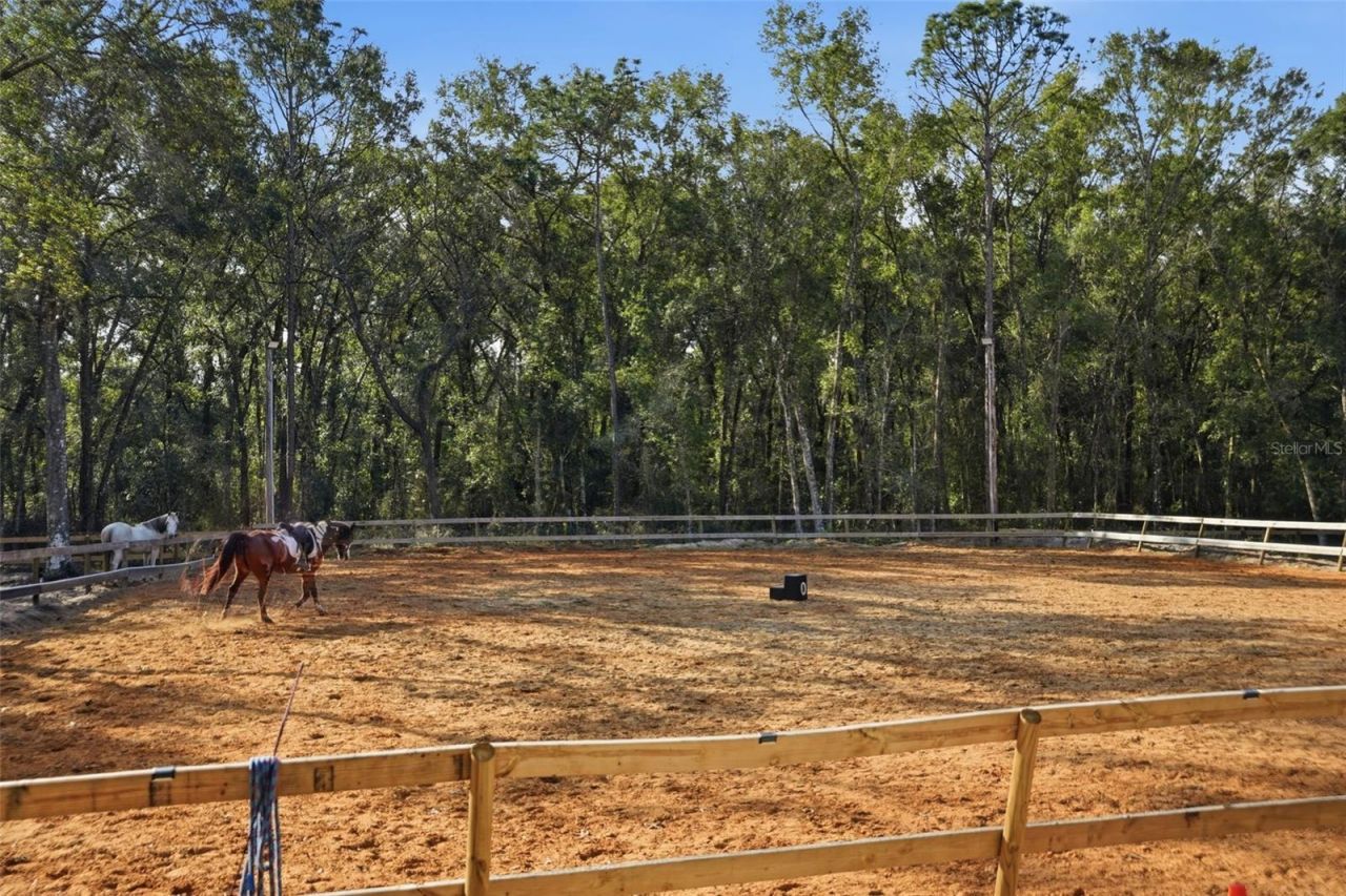 16000 Sam C Road, Brooksville, FL 34613 Photo