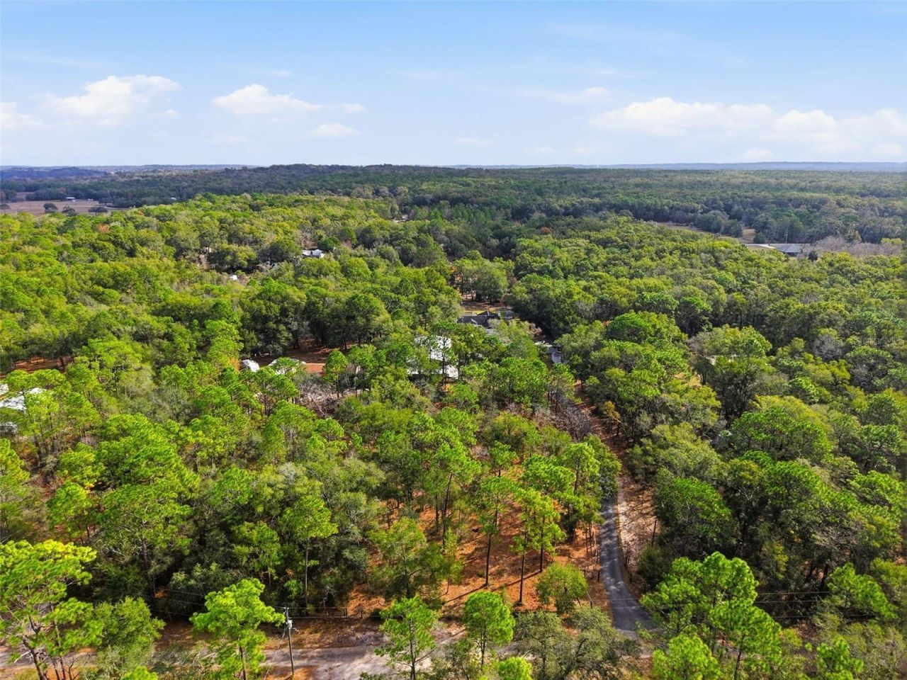 16000 Sam C Road, Brooksville, FL 34613 Photo