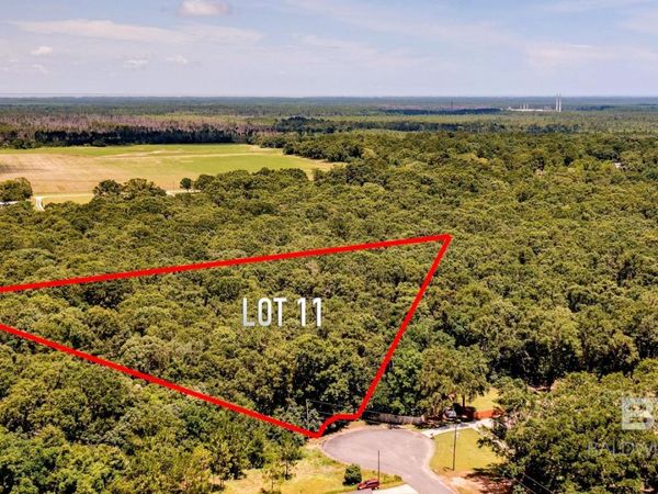 0 Bay Oaks Place Drive, Irvington, AL 36544