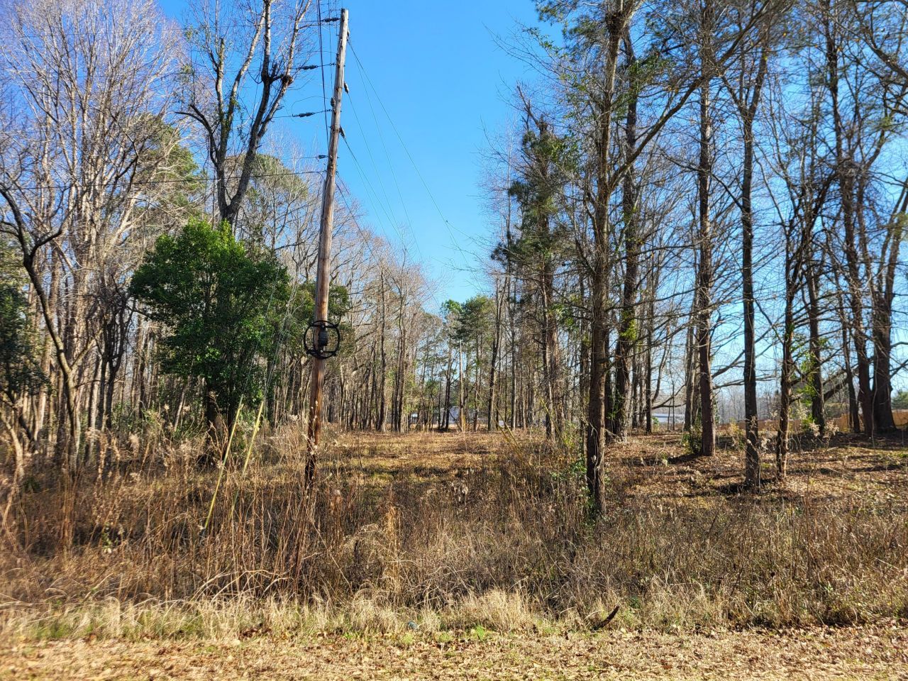 Lot 1 Santee Lumber Road Photo 5