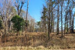 Lot 1 Santee Lumber Road photo 4