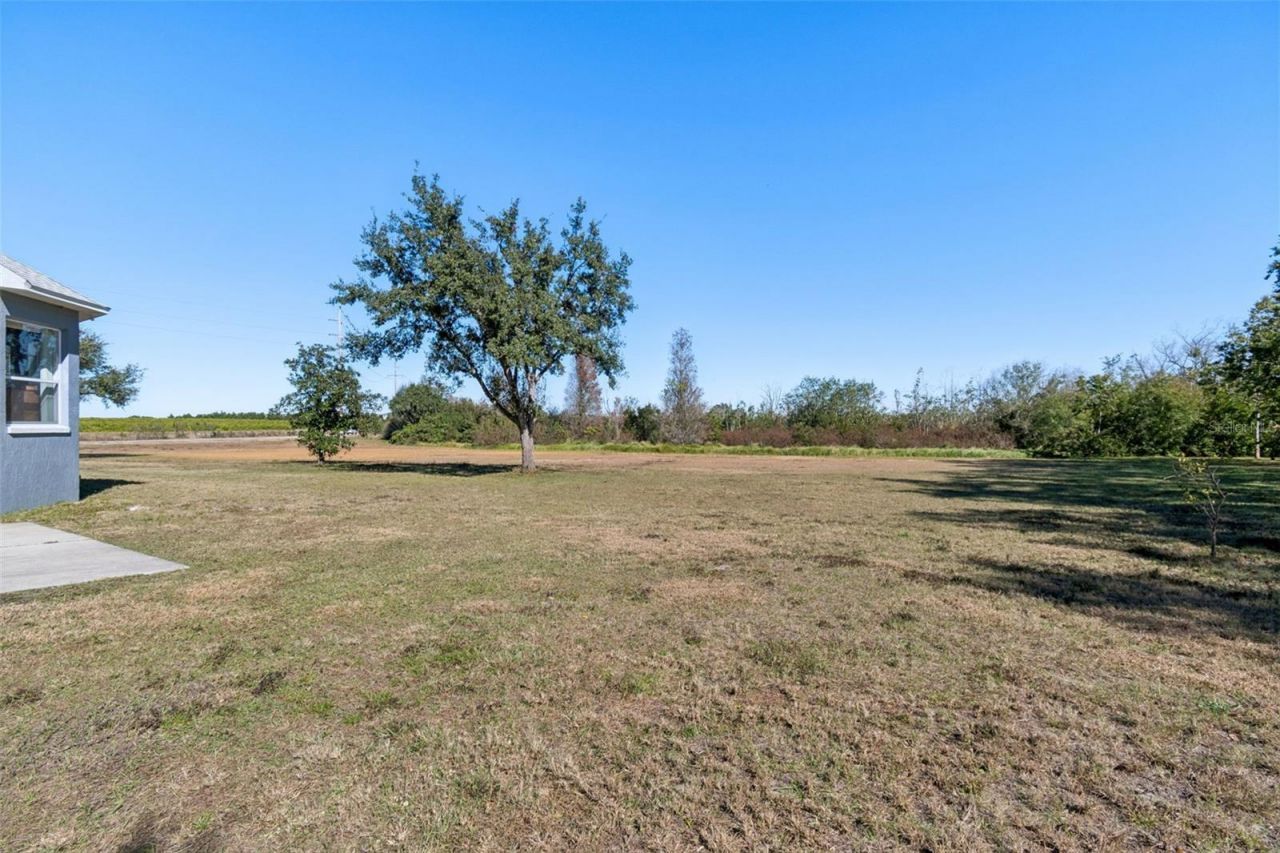 2307 Cass Road, Lake Alfred, FL 33850 Photo