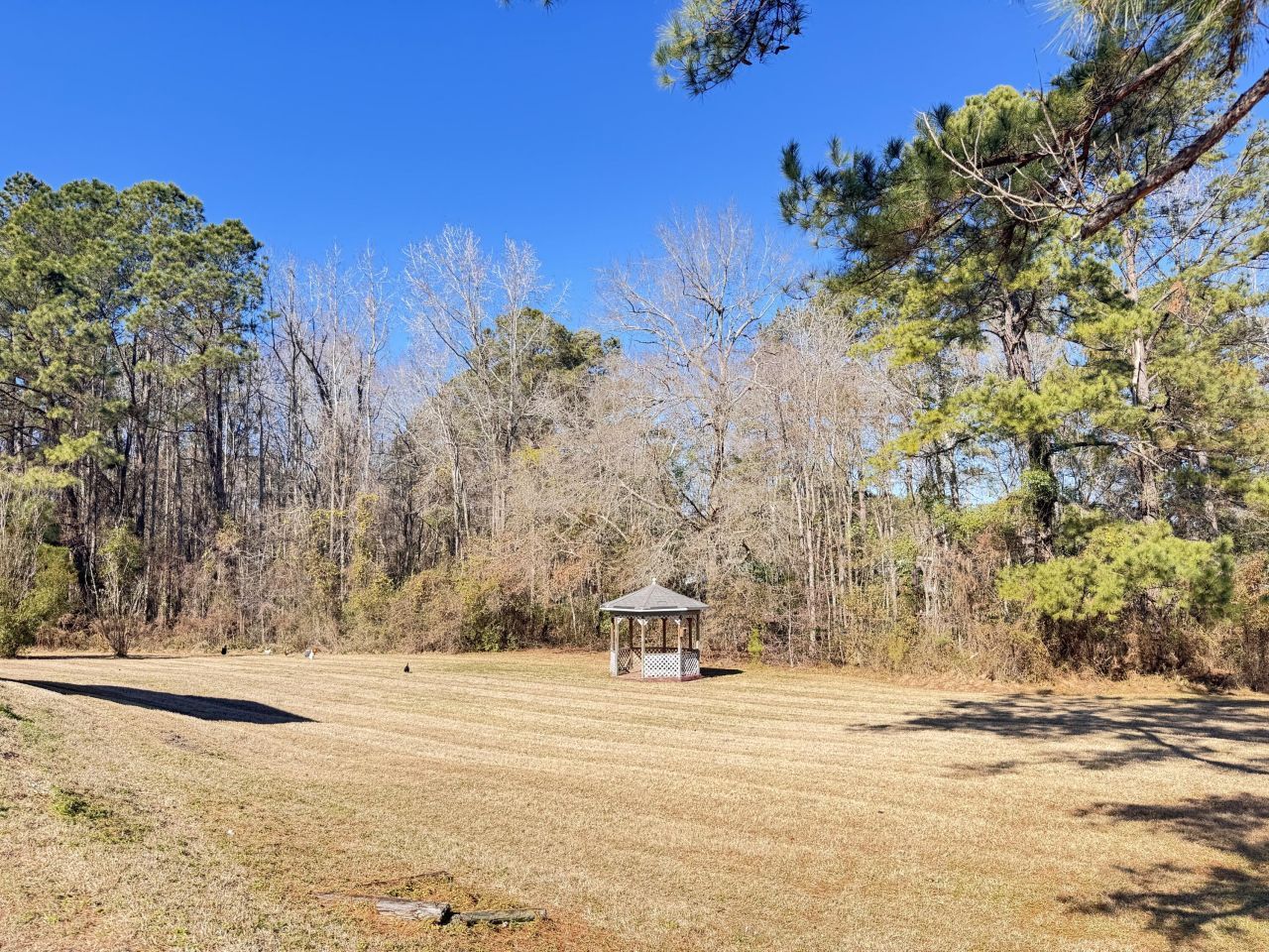 612 Bedon Road Photo 16