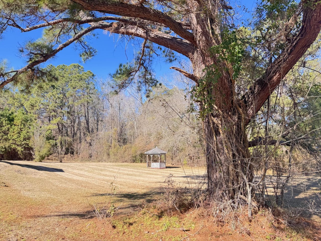 612 Bedon Road Photo 18