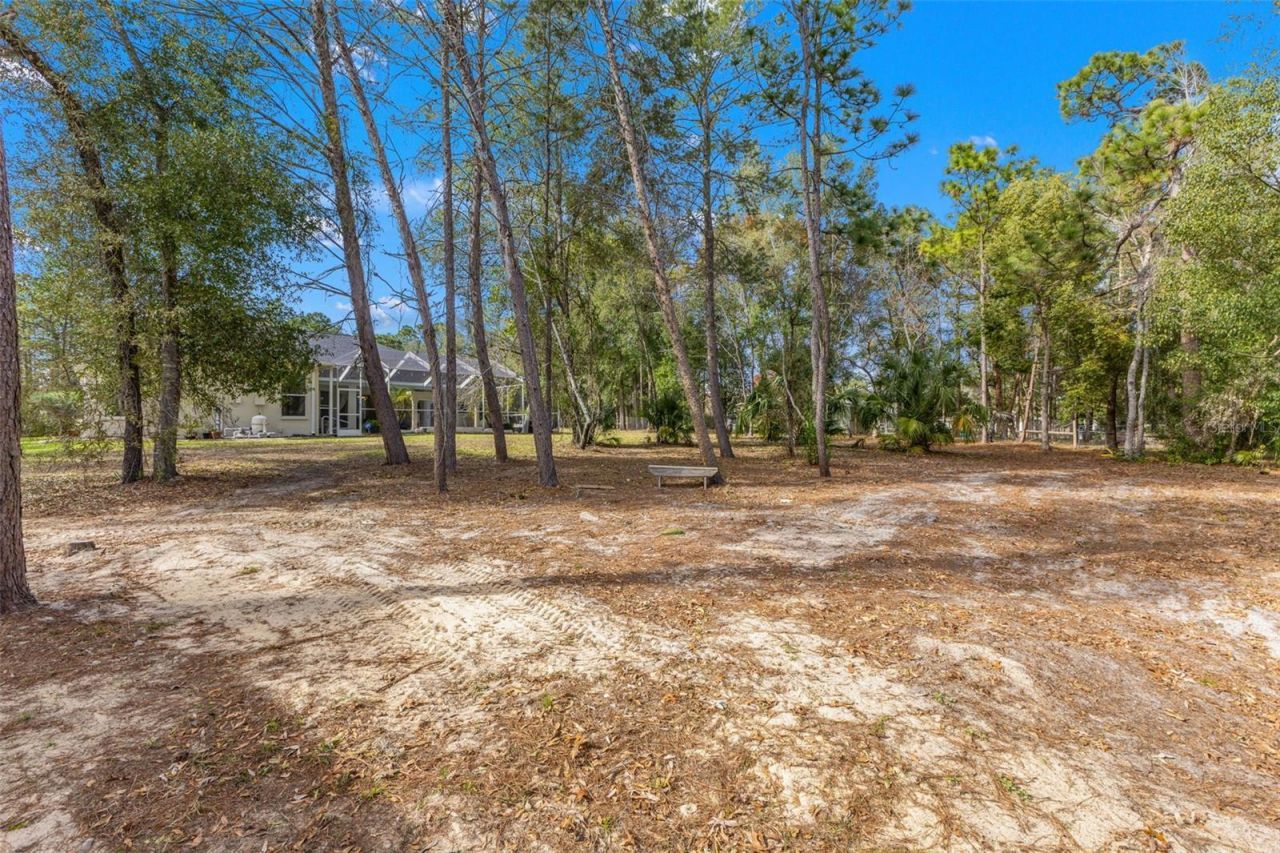 14071 Linden Drive, Spring Hill, FL 34609 Photo