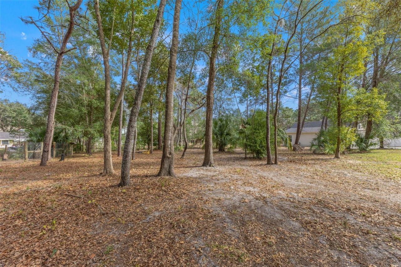 14071 Linden Drive, Spring Hill, FL 34609 Photo