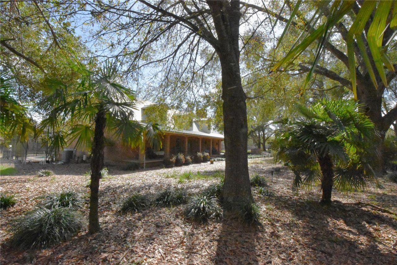 272 NE County Road 337, Trenton, FL 32693 Photo