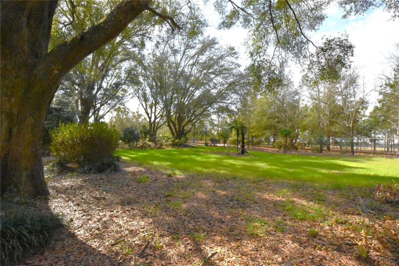 272 NE County Road 337, Trenton, FL 32693 Photo