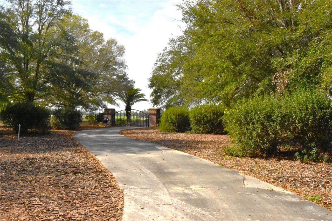 272 NE County Road 337, Trenton, FL 32693 Photo