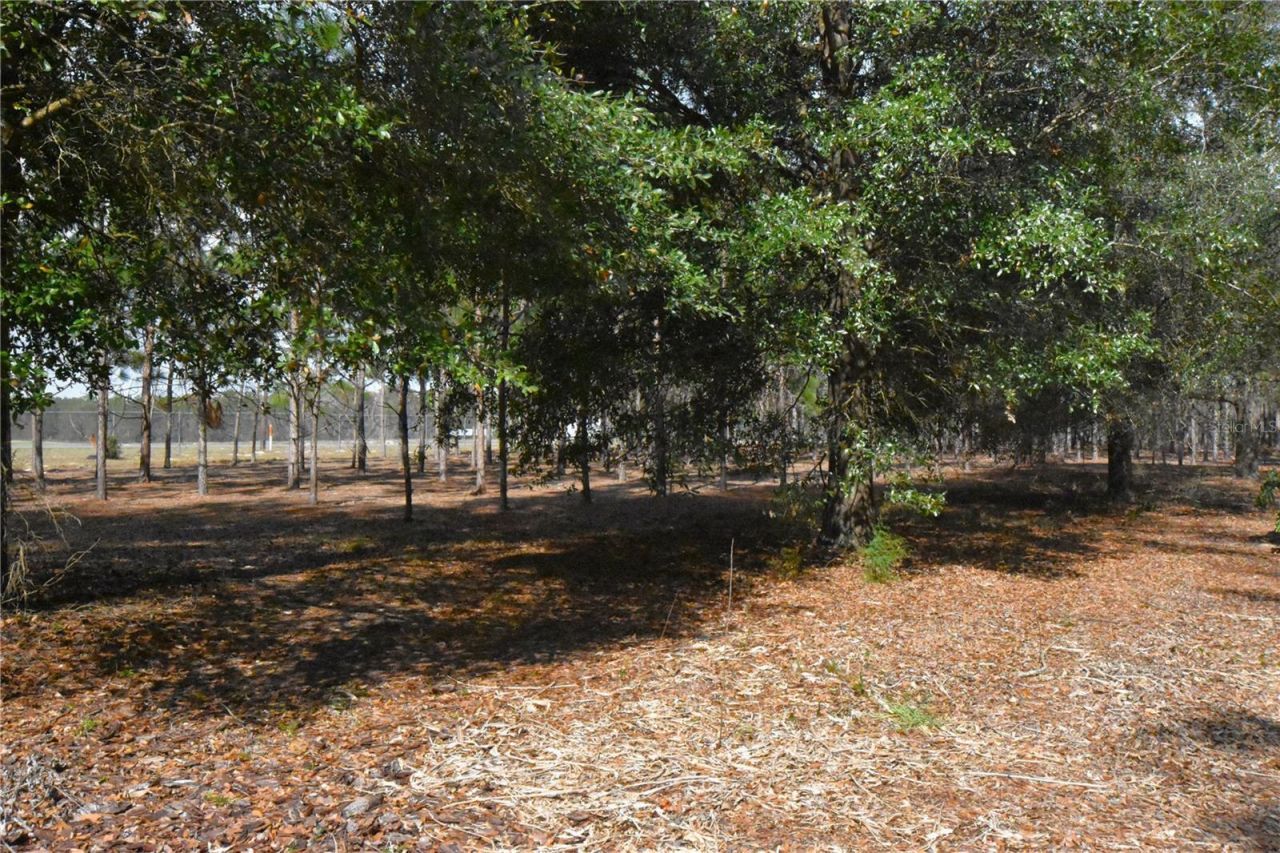 272 NE County Road 337, Trenton, FL 32693 Photo