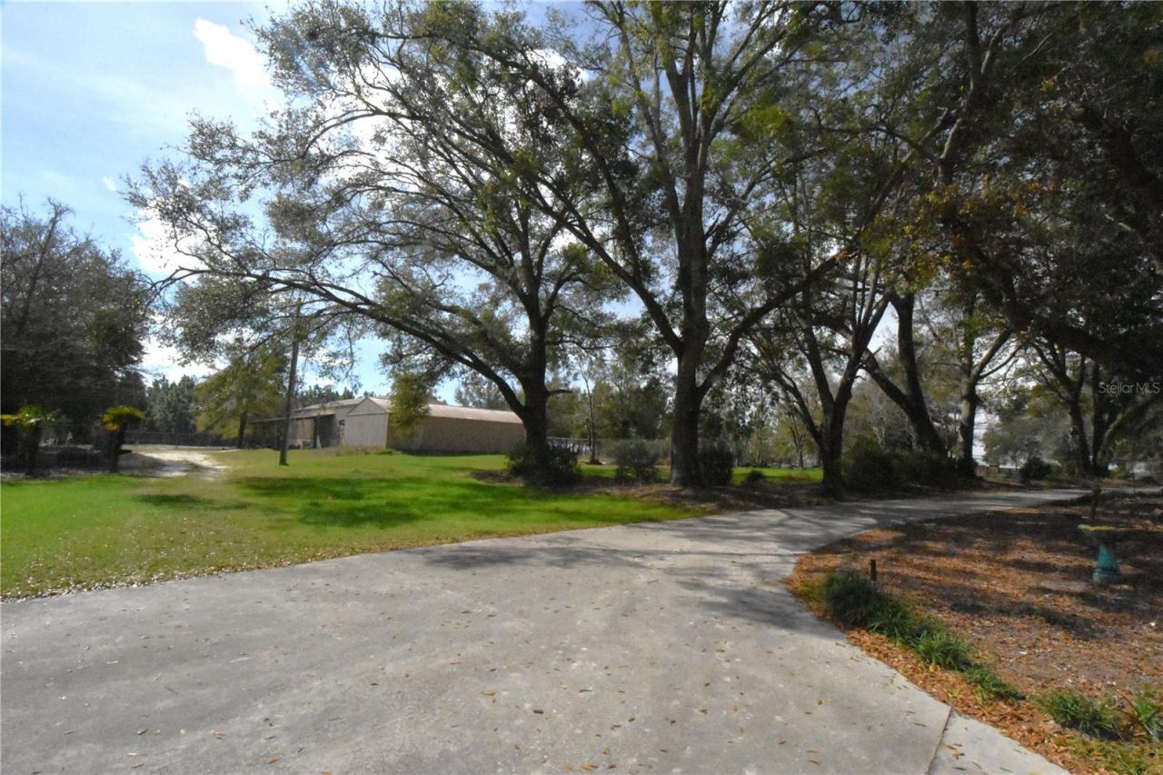 272 NE County Road 337, Trenton, FL 32693 Photo