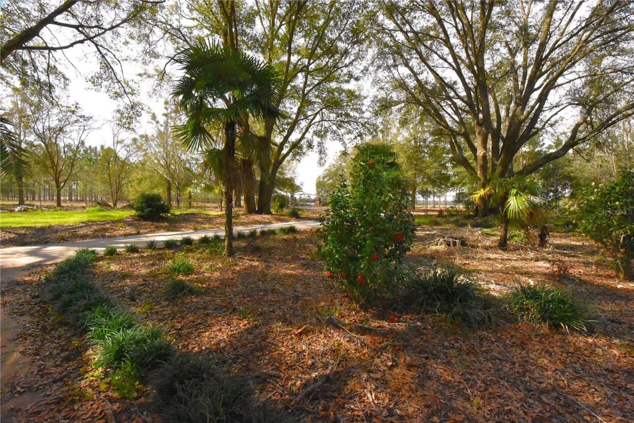 272 NE County Road 337, Trenton, FL 32693 Photo