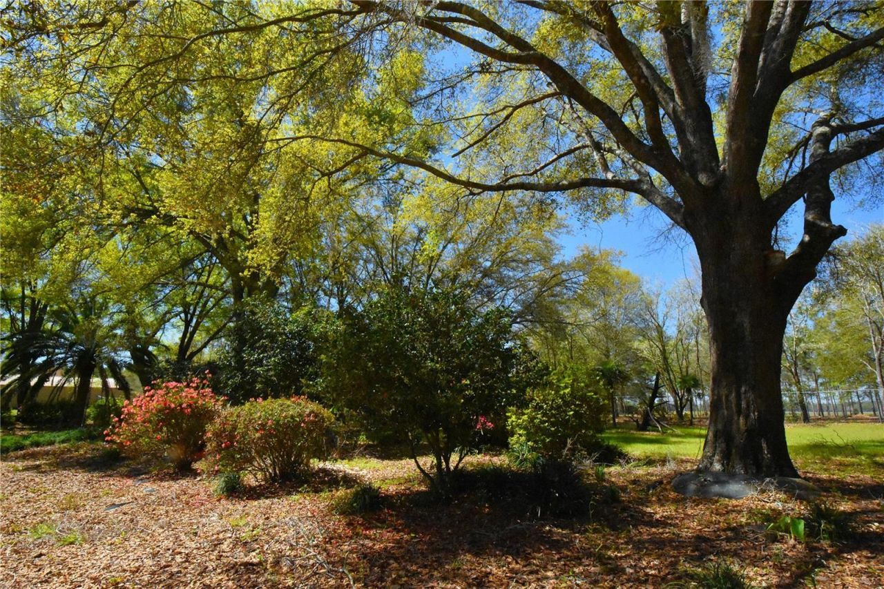 272 NE County Road 337, Trenton, FL 32693 Photo