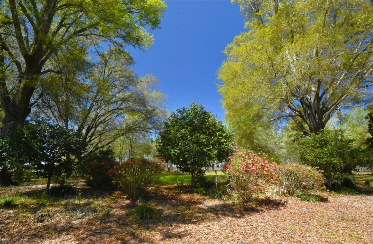 272 NE County Road 337, Trenton, FL 32693 Photo