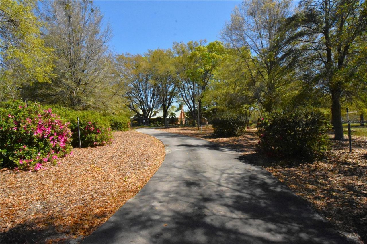 272 NE County Road 337, Trenton, FL 32693 Photo