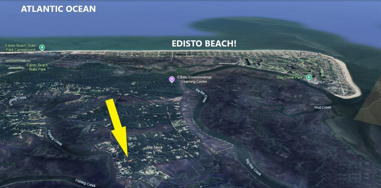 8917 Palmetto Road Photo 4