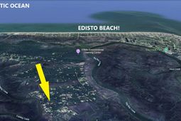 8917 Palmetto Road photo 4