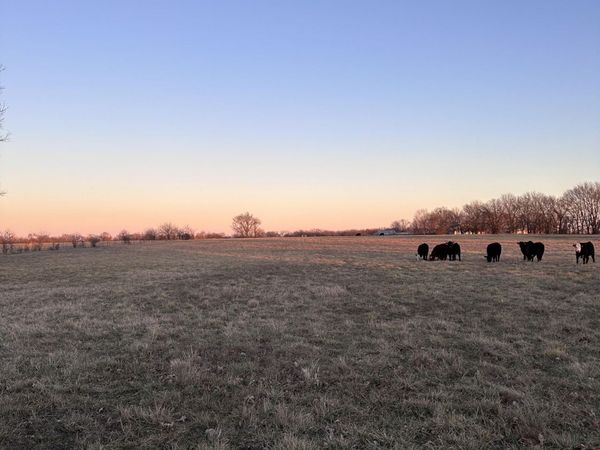 000 Civil War Road , Carthage, MO 64836