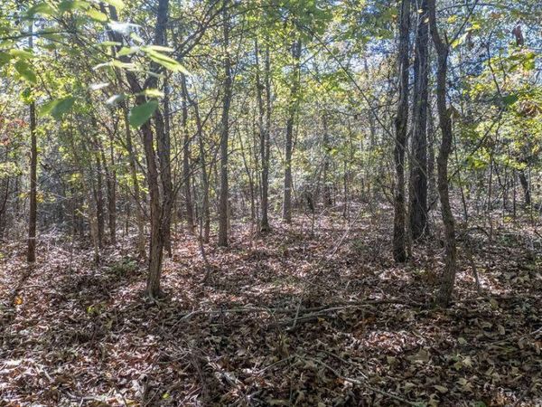 000 Cheetowaga Circle , Cherokee Village, AR 72529