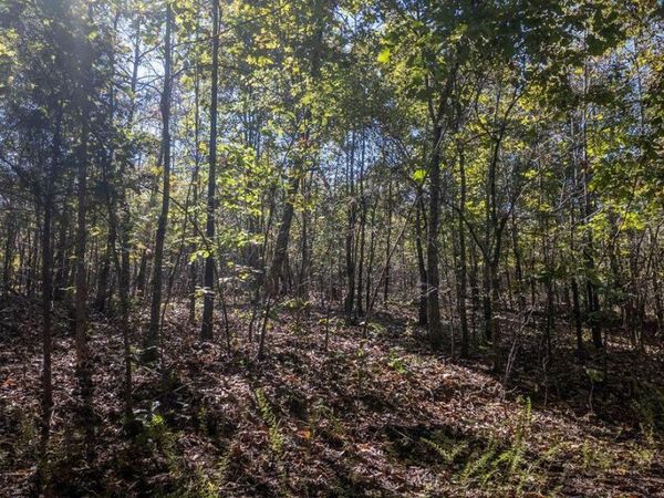 000 Wetumka Drive , Cherokee Village, AR 72529