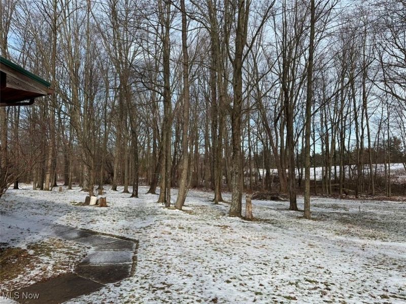 6810 S Elyria Road, Shreve, OH 44676 Photo 9