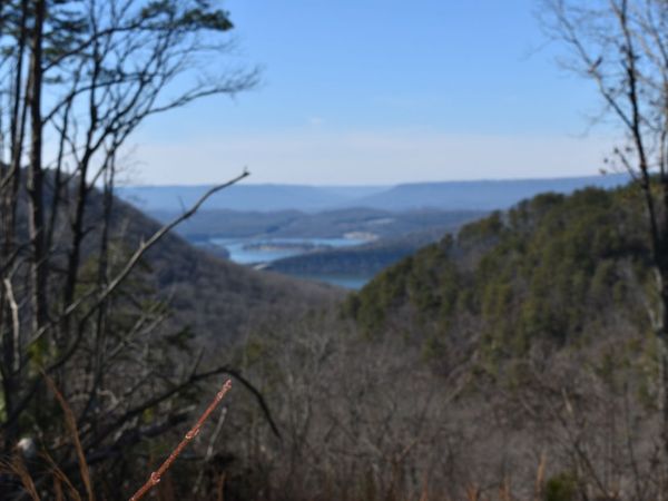 0 Birds Eye Way , Guild, TN 37340