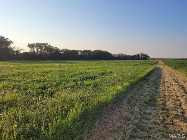 0 Hwy DD (46+/- Ac) Tract F, Bellflower, MO 63333