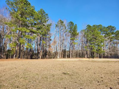 Lot 2 Santee Lumber Road, Santee, SC 29142