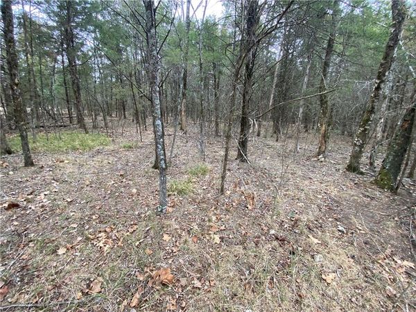 Pine Street, Diamond City, AR 72644