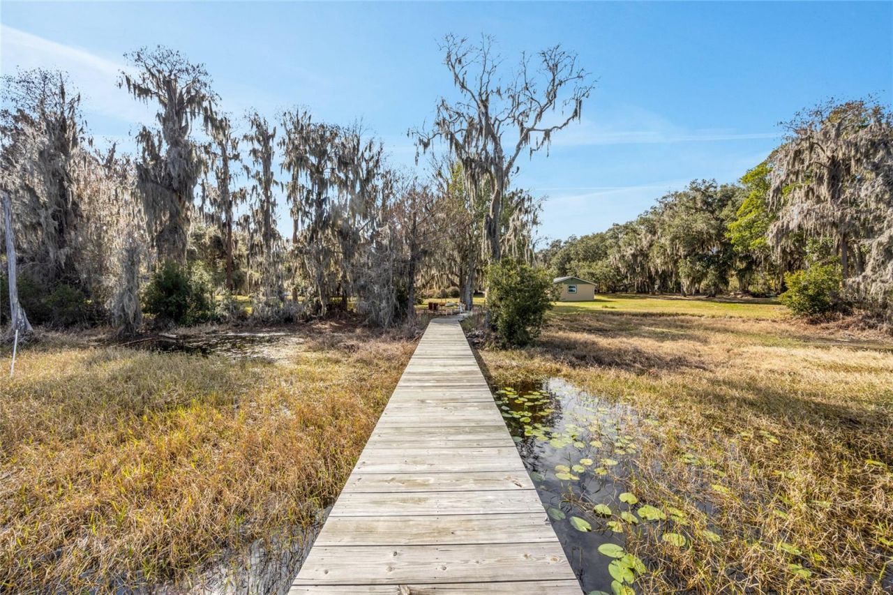 16602 NE 124th Avenue, Waldo, FL 32694 Photo