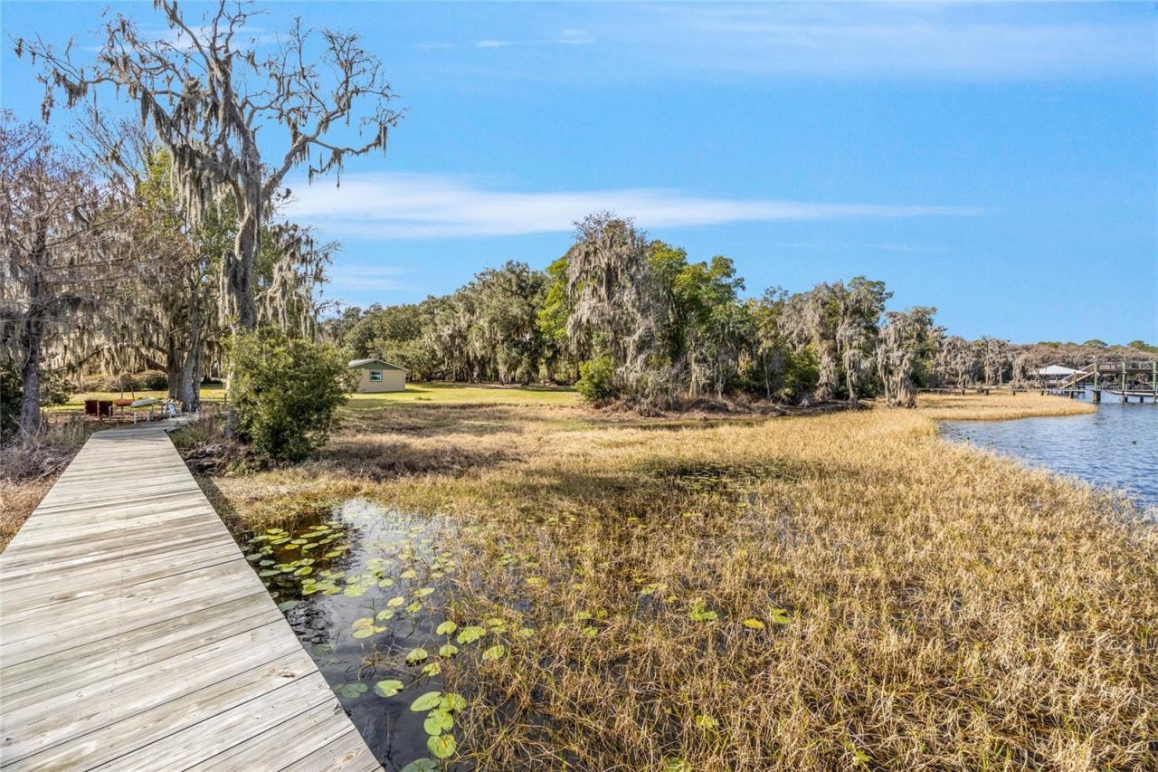 16602 NE 124th Avenue, Waldo, FL 32694 Photo